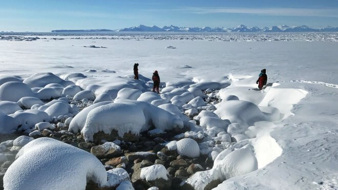 Walking on the Sea Ice of East Greenland